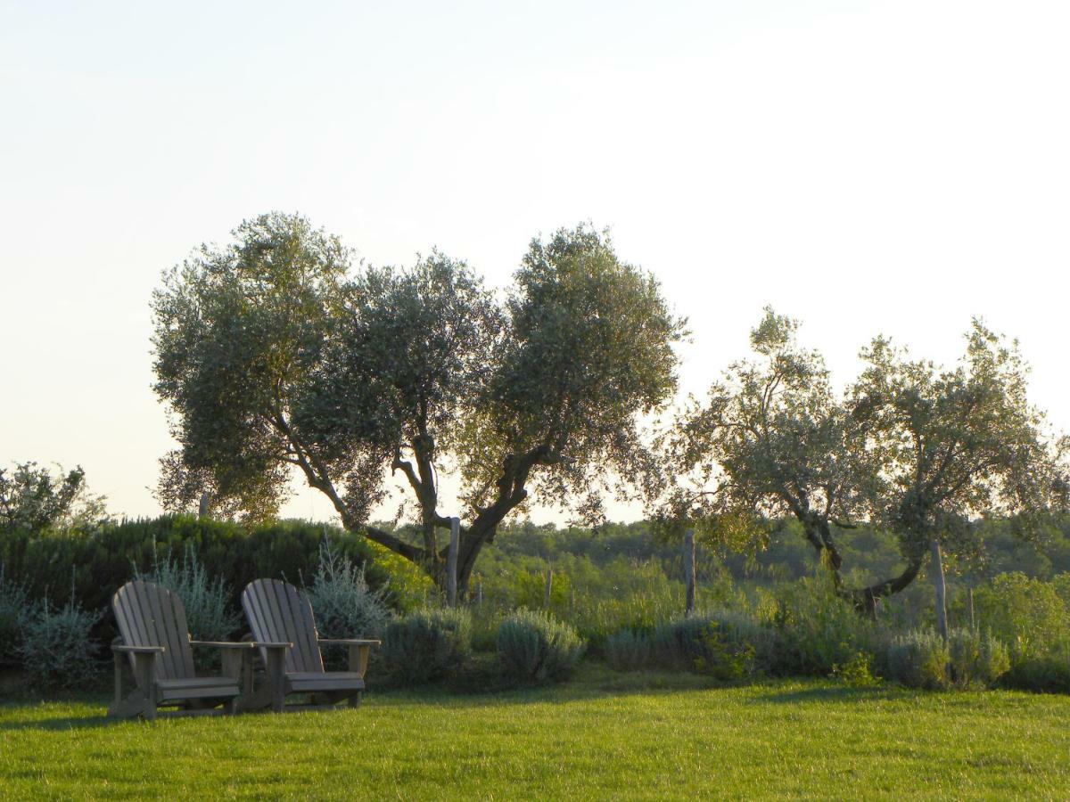 Macchiabuia Bed & Breakfast Capalbio Dış mekan fotoğraf